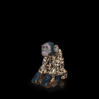 Monkey Baby
