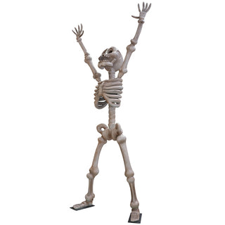 Skeleton 3,5m "Happy"