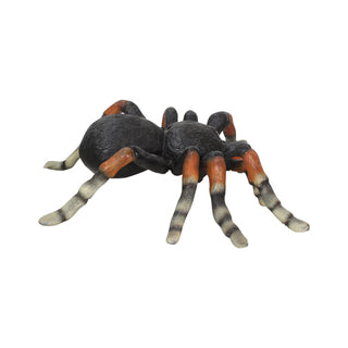 Web Spinner