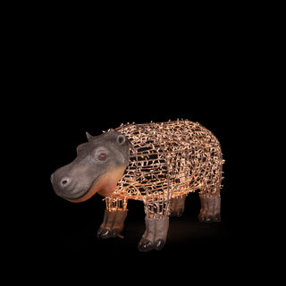 Hippo Baby