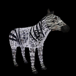 Zebra Dad