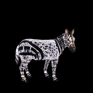Zebra Baby