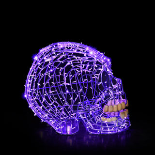 Skull Purple