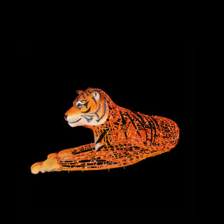 Tiger Laying