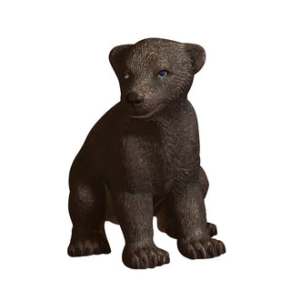 Sitting Grizzly Bear Baby