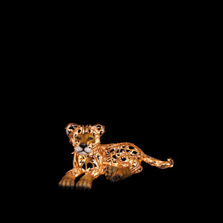 Lion Cub Laying