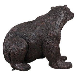 American Black Bear, Sitting