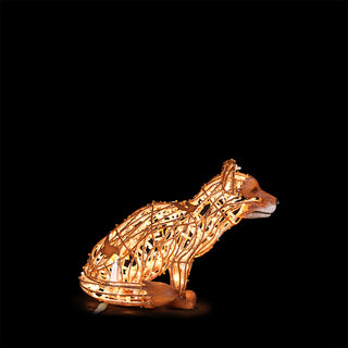 Fox Small Sitting