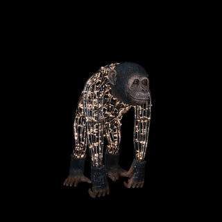 Monkey Dad