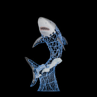 Shark ON Waves