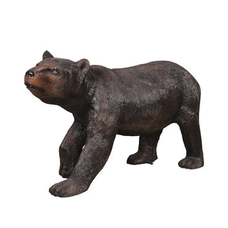 American Black Bear, Walking