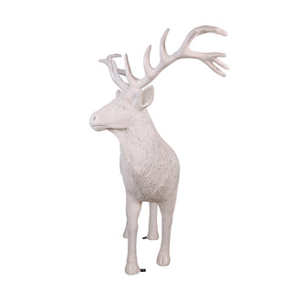 White Stag