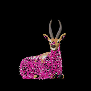 Gazelle Sitting