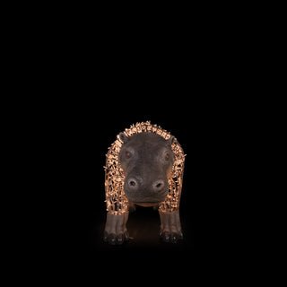 Hippo Baby