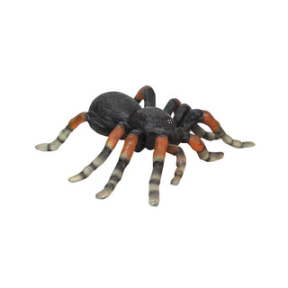 Web Spinner
