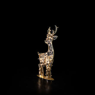 Watchful Deer