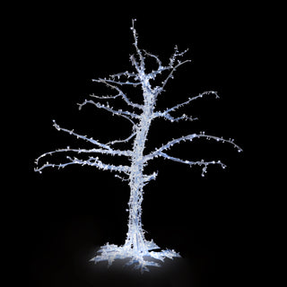 Paradise Tree 3.5M