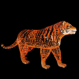Tiger Walking