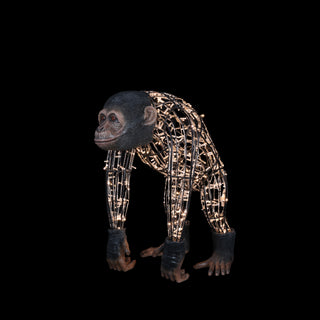 Monkey Dad